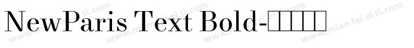 NewParis Text Bold字体转换